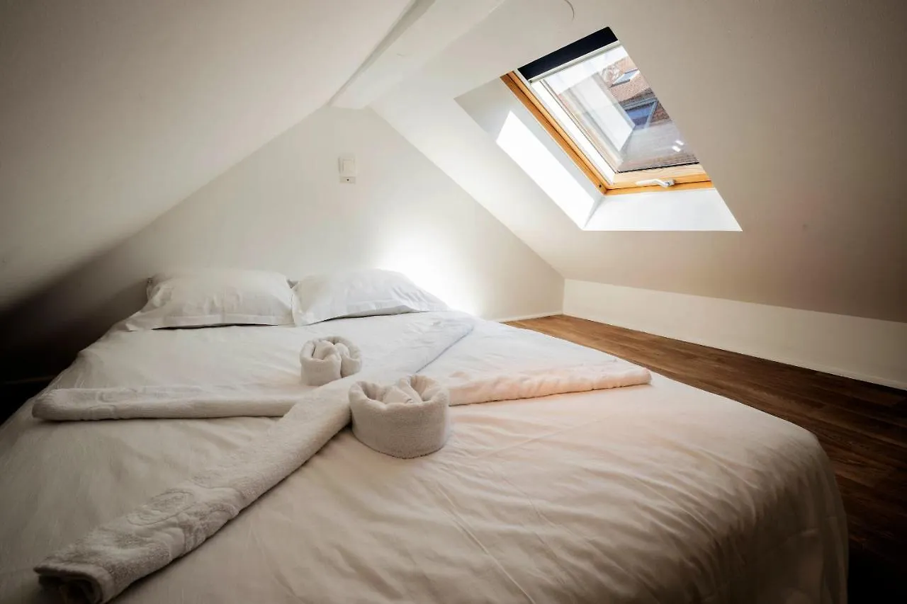 Litchi Apartment Annecy 0*,