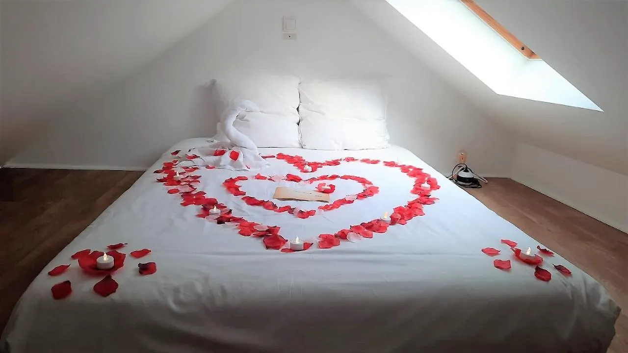 Litchi Apartment Annecy