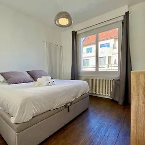  Appartement Toit-terrasse Traversant Plein Centre 100m Du Lac